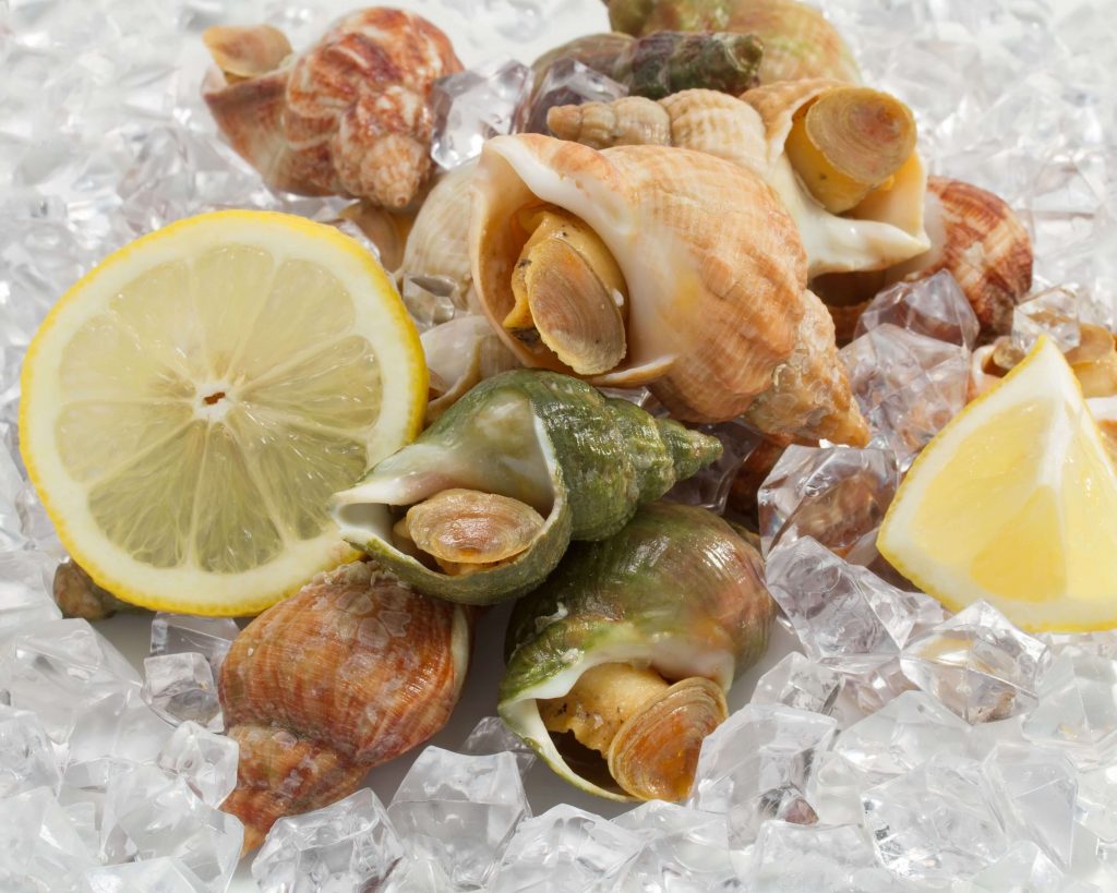 Whelk