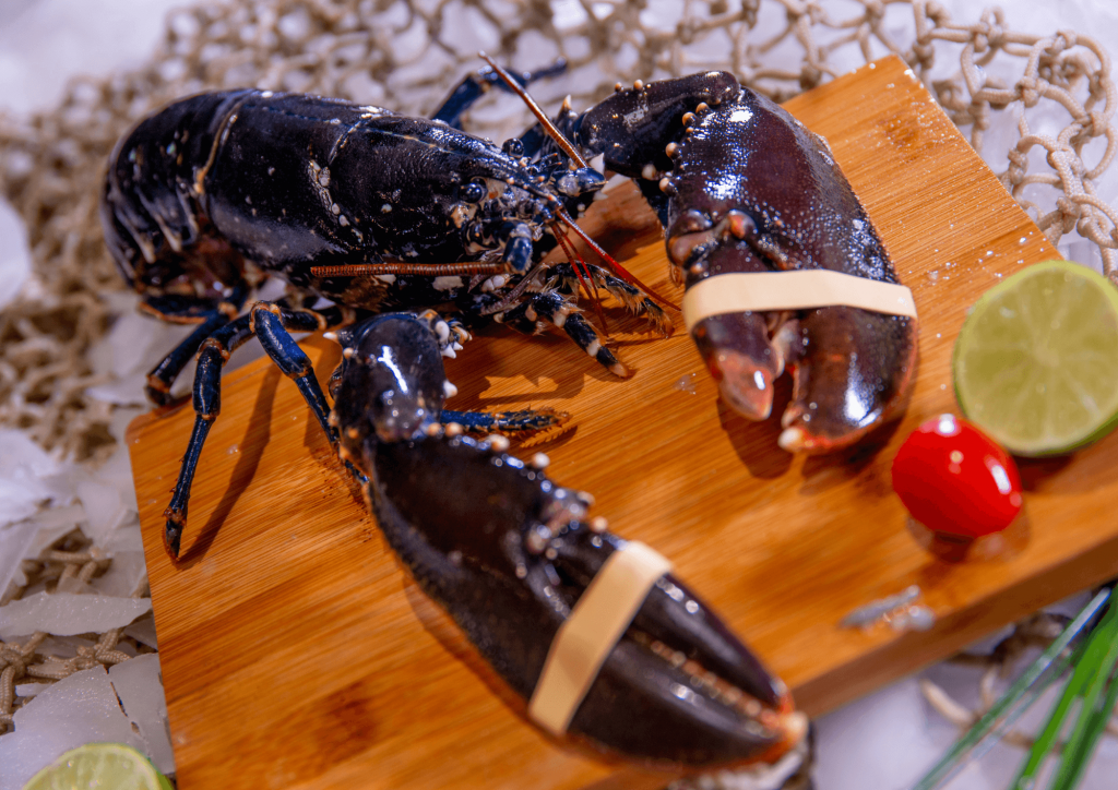 Lobster