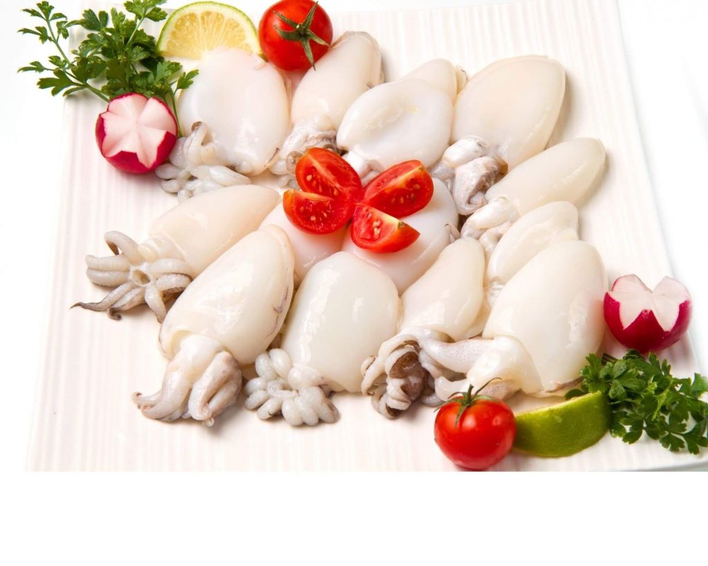 Cuttlefish